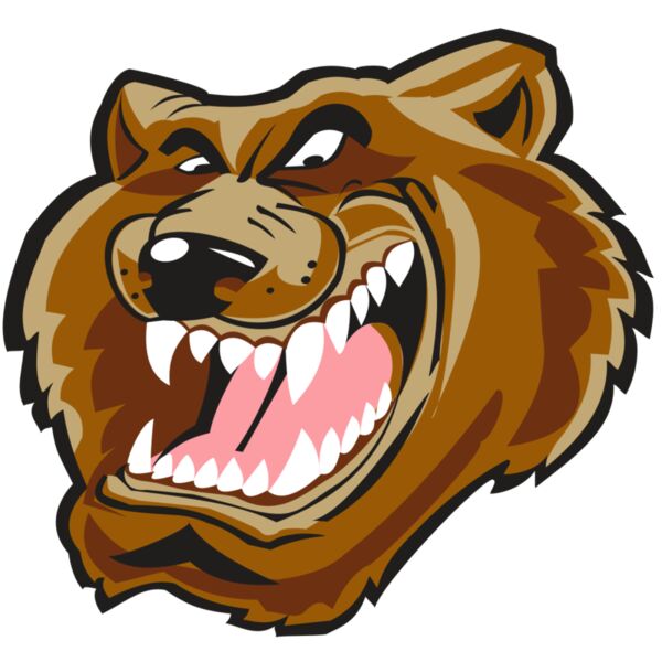 BEAR HD0503 RQC Thumbnail